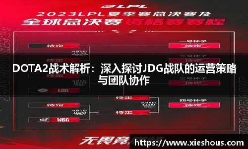 DOTA2战术解析：深入探讨JDG战队的运营策略与团队协作
